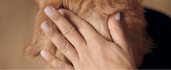 Immagine che raffigura una persona che direziona il flacone nell'area di interesse