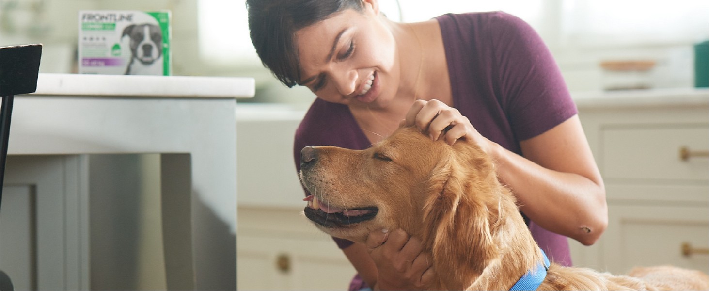 Foto di una persona che applica Frontline tri-act per cani al resto del corpicino del proprio animale.