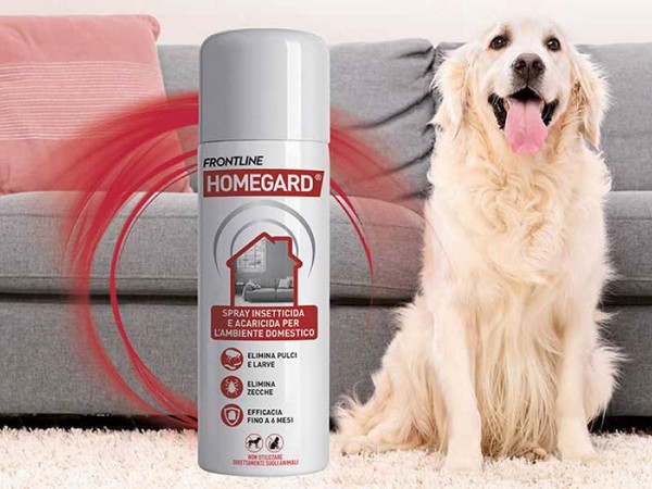 Spray Frontline Homegard per pulci e zecche nell&rsquo;ambiente domestico con cane