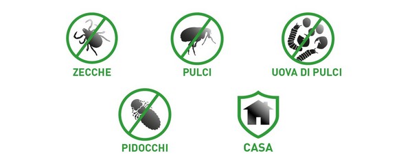Infografica con tutti gli insetti da cui Frontline tri-act cani protegge il nostro animale.